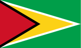 Flag of Guyana